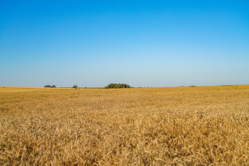 landscape in the countryside