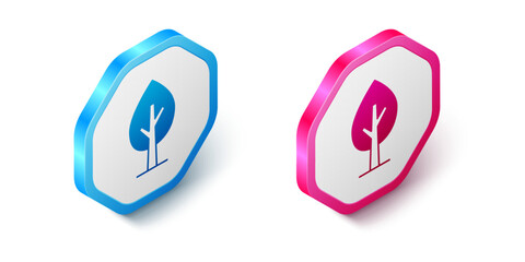 Isometric Tree icon isolated on white background. Forest symbol. Hexagon button. Vector