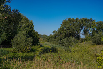 landscape in the countryside