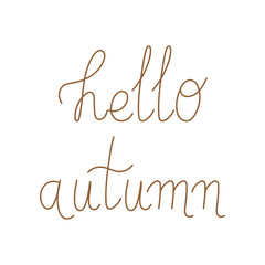 autumn. elements for autumn. harvest time. cozy. leaf fall. pumpkin. pear. mushrooms. on a colored background.