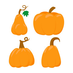 Pumpkin flat icons set. Sign kit of halloween. Thanksgiving pictogram collection farm harvest, closeup squash, vegetable. Simple pumpkin cartoon colorful icon symbol isolated white Vector Illustration
