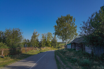 landscape with trees and sky