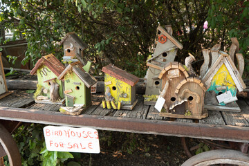 バードハウス　クラフト　楽しい　木工　クラフティング　カラフル　鳥　鳥の家　鳥小屋