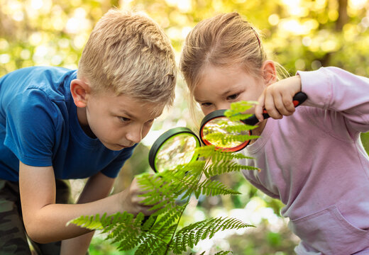 Kids exploring in forest with a magnifying glass.