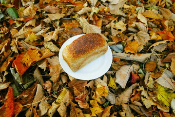 落葉の植に置かれた白い皿の上のパン