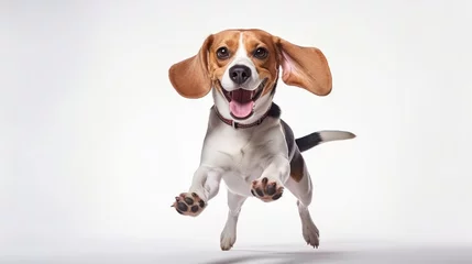 Poster Friend. Portrait of funny active pet, cute dog Beagle posing isolated over white studio background. Concept of motion, action, pets love, animal life. Looks happy, delighted. Copyspace for ad © Khalida