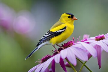 yellow wagtail with flowers
