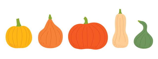 set of colorful various pumpkins- vector illustration