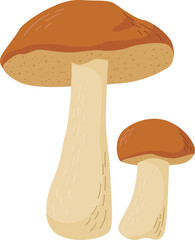 Aspen mushroom vector illustration. Edible mushrooms in forests © Nadezhda Mih