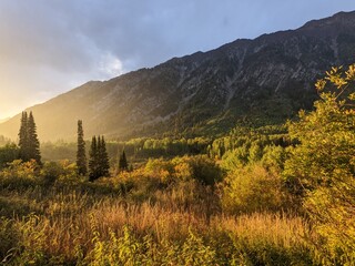 Golden hour in the mountains