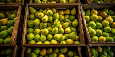 Green Williams pears in boxes harvested and ready for sale