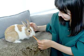 屋内でウサギに餌を与える若い女性
