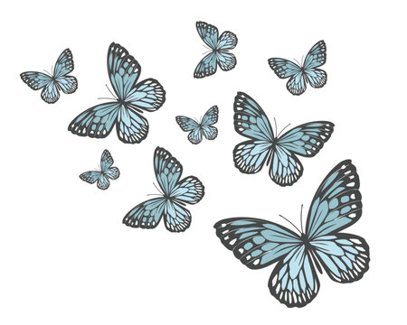 Beautiful monarch butterfly isolated on white background 3d illustration set of blue watercolor butterfly Morpho butterfl