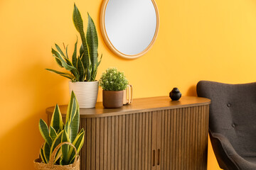 Brown wooden chest of drawers with houseplants, mirror and chair near orange wall