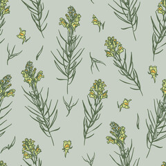 Yellow toadflax or butter-and-eggs with flowers and leaves. Blossom wildflowers for wallpaper, textile, wrapping paper. Sketch style. Hand drawn vector seamless pattern - 639062062