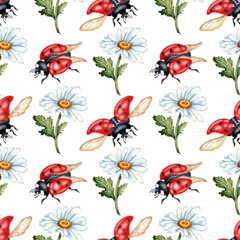 Pattern of white daisies and red ladybugs isolated on white background. Botanical illustration. Great pattern for kitchen, home decor, stationery, wedding invitations and clothing printing.