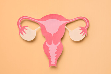 Paper uterus on beige background
