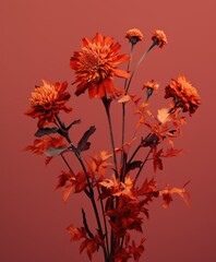 a bunch of red dried flowers on a dark red neutral background — unique artisanal handmade florist minimalist aesthetic