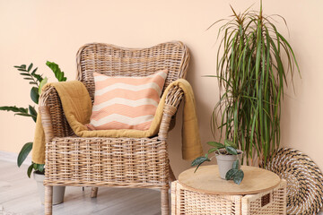 Comfortable wicker armchair and houseplants near beige wall