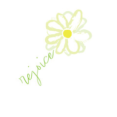 Yellow & White Flower with Rejoice - Daisy - Transparent Vector Image