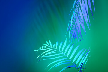 Fototapeta na wymiar Neon tropical leaves on colorful background