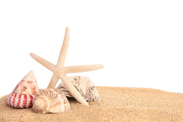 Fototapeta na wymiar Beautiful sea star, shells and sand isolated on white