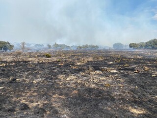 Prescribed Burn in Texas Field Pasture on Ranch