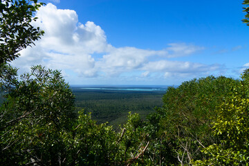 Fototapeta na wymiar View of Upi Bay From Mount pic Nga