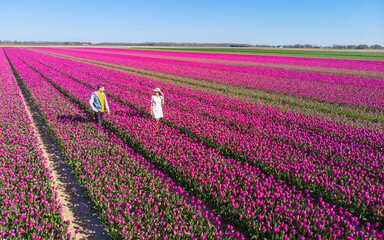 Men and women in flower fields seen from above with a drone in the Netherlands, flower fields in the Netherlands during Spring