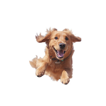 A dog soaring through the sky amidst the fluffy clouds