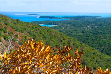 Autem Dying leaves Orange