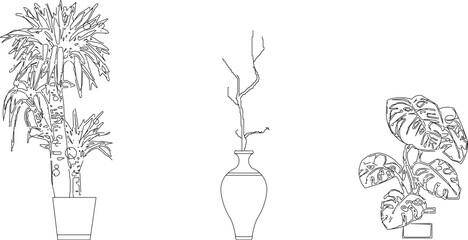 Vector sketch illustration of beautiful ornamental plants in pots for home decoration