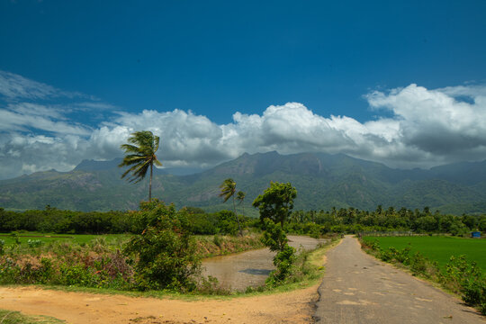 road in the countryside