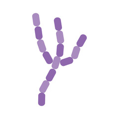 Bacillus Anthracis Cause Of Anthracs Disease. Virus and Bacteria Illustration Isolated In White Background.  Virus Bacteria Germs Designs.