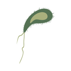 Cholerae Virus Cause Of Cholerae Disease. Virus and Bacteria Illustration Isolated In White Background.  Virus Bacteria Germs Designs.