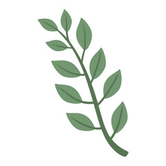leaves tree branch icon
