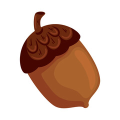 autumn acorn nut