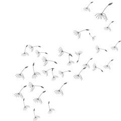 Dandelion Logo, Vector Plant Dandelion flower, Design Icon Template