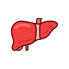 Human liver organ vector icon design template elements, internal organs image