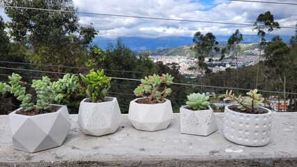 Macetas artesanales regalo 