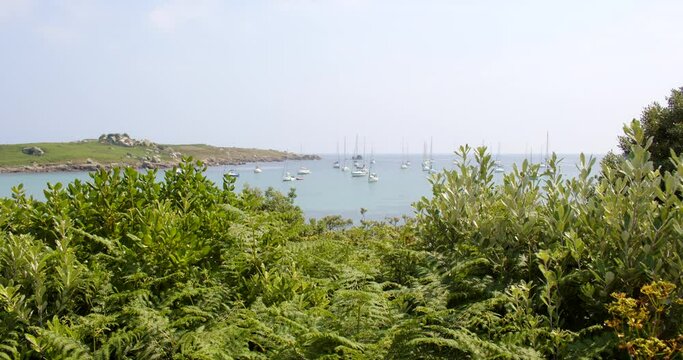 Extra wide shot of the natural harbour on St Agnes and Gugh at the Isles of Scilly. Foliage in foreground.