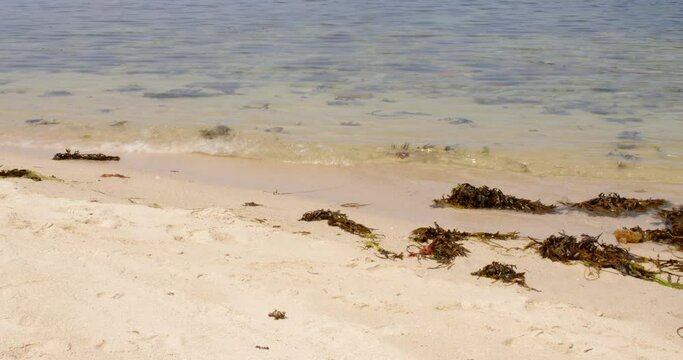 waves lapping onto the beach on St Agnes at the Isles of Scilly
