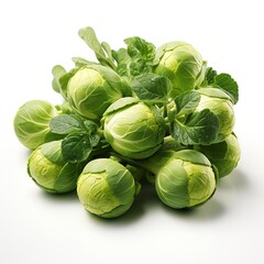 Brussels Sprouts minimal vector white background