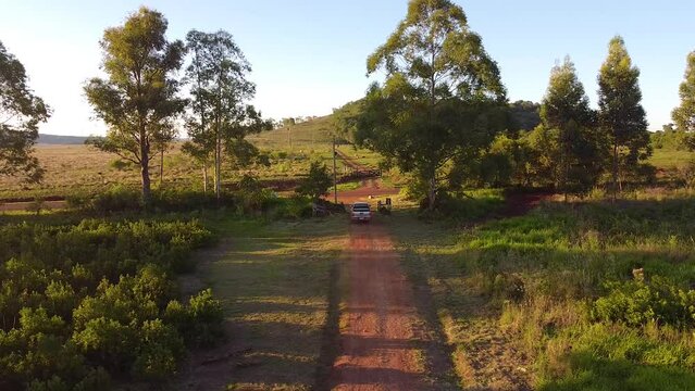 Aerial Top View of Pickup Truck on Road Leaving Yerba Mate Plantation in Misiones, Argentina