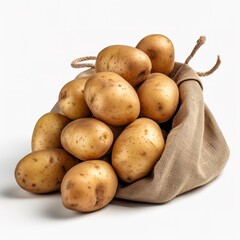 raw fresh potatoes in burlap bag isolated