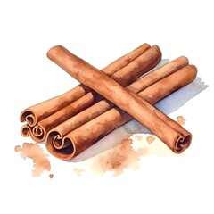cinnamon sticks isolated on white