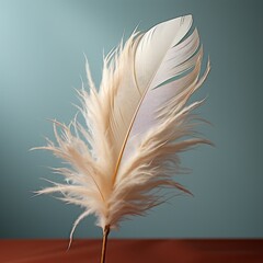 Simplicity: A single white feather against a muted background. 