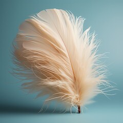Simplicity: A single white feather against a muted background. 