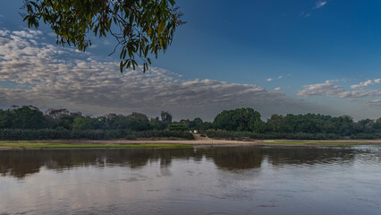 Green vegetation grows on the bank of a calm river. Reflection in the water. A tree branch on a background of blue sky and clouds. Madagascar. Manambolo River