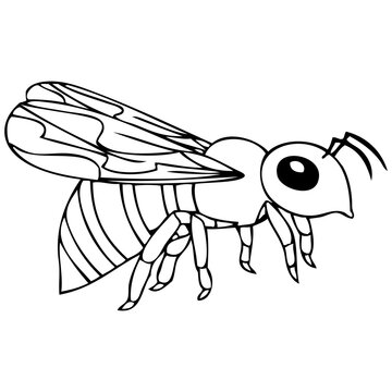 bee line cartoon vector illustration